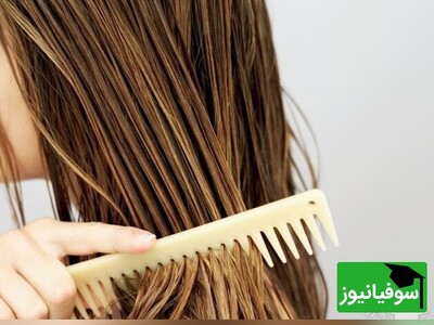 ویدیو | مطمئنم با دیدن این کلیپ دیگه هیچوقت با موی خیس نمی‌خوابی!
