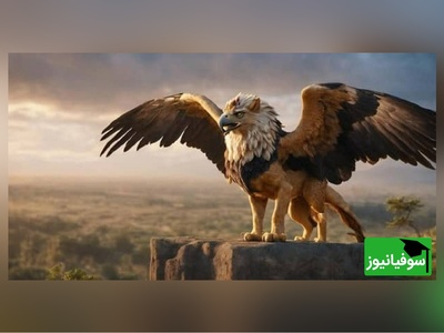 (عکس) گریفن افسانه‌ای کاخ آپادانا؛ دیوارنگاره‌ای جاودان که شکوه و قدرت بی‌پایان داریوش بزرگ را فاش می‌کند و هنر شگفت‌انگیز ایرانیان باستان را به رخ جهان می‌کشد
