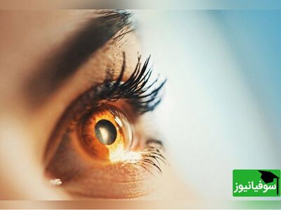 (ویدئو) انسان چگونه می‌بیند!؟