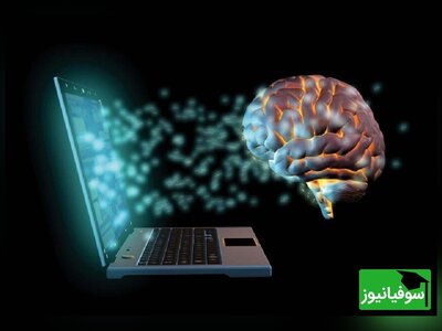 (ویدئو) کشفی علمی پس از اشتباهی 50 ساله/ مغز انسان، کامپیوتر نیست!