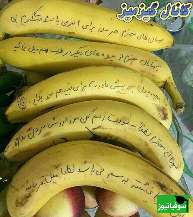 خلاقیت ایرانی