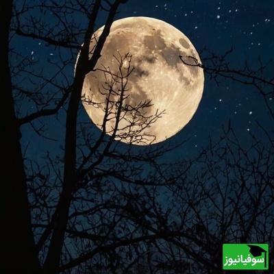 عکس/ رمزگشایی تازه از راز تاریک منظومه شمسی/ آیا بشر در آستانه کشفی بزرگ است؟