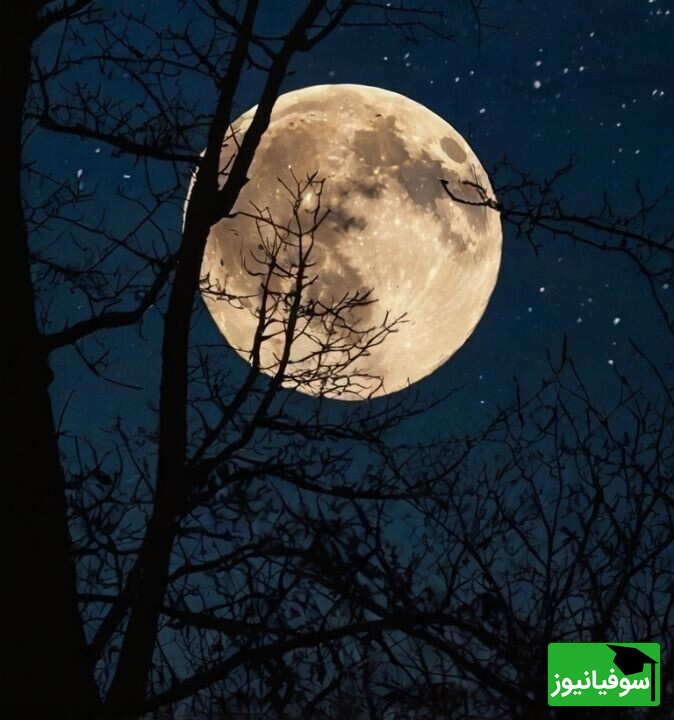 عکس/ رمزگشایی تازه از راز تاریک منظومه شمسی/ آیا بشر در آستانه کشفی بزرگ است؟