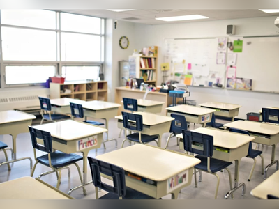 ویدئوی خنده‌دار از حضور سرزده یک گربه در کلاس درس/ علاقه خاصی به علم آموزی داره😂