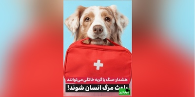 هشدار پزشکی! خطری که صاحبان سگ و گربه از آن بی‌خبرند