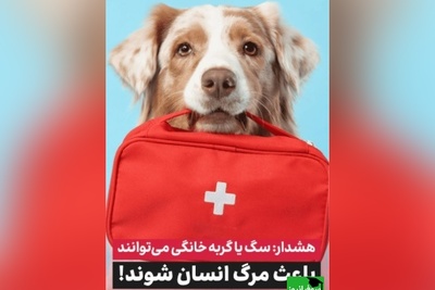 هشدار پزشکی! خطری که صاحبان سگ و گربه از آن بی‌خبرند