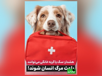 هشدار پزشکی! خطری که صاحبان سگ و گربه از آن بی‌خبرند
