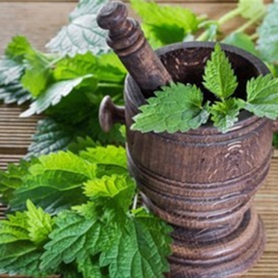 (ویدیو) گیاه خارق‌العاده‌ای که کبد، طحال و رحم شما را پاکسازی می‌کند؛ فواید گزنه را از دست ندهید!