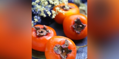 (ویدیو) نوشیدنی ترند این روزها/ قهوه هسته خرمالو و توصیه‌های کاربردی استاد باغبانی