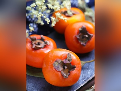 (ویدیو) نوشیدنی ترند این روزها/ قهوه هسته خرمالو و توصیه‌های کاربردی استاد باغبانی