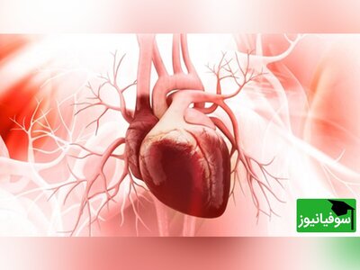 (ویدئو) مضرات خطرناک مصرف نوشیدنی‌های شیرین برای قلب