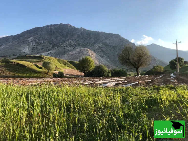 عکس از: سایت Google Maps