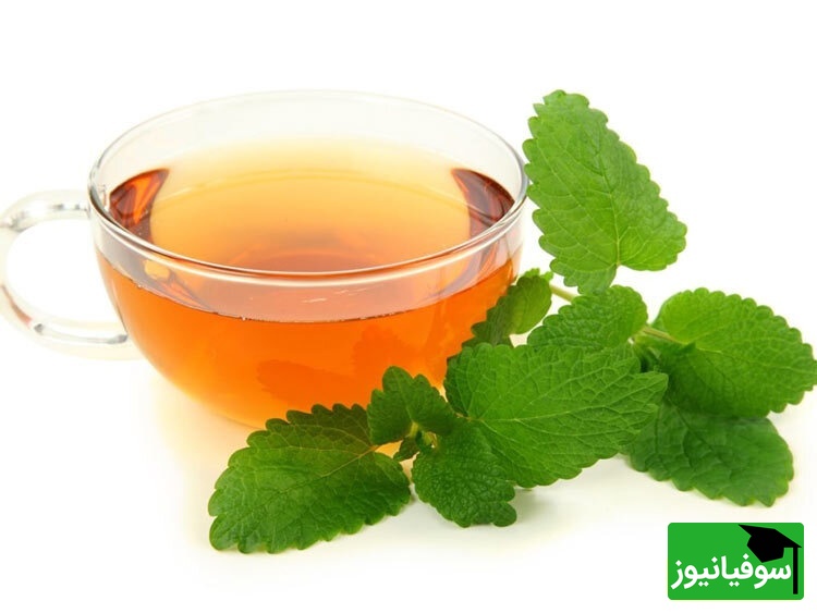  دمنوش بادرنجبویه
