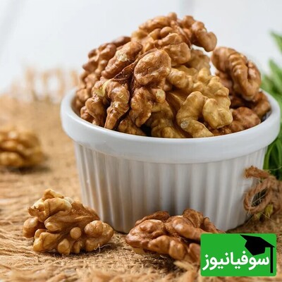 خبر داری با خوردن چند تا گردو با کمترین هزینه میتونی لاغر کنی؟ / خواص گردو از لاغری تا سلامت پوست و مو؛ گردو خواص مهمی در تنظیم قند خون و کاهش خطر ابتلا به دیابت نوع 2 دارد