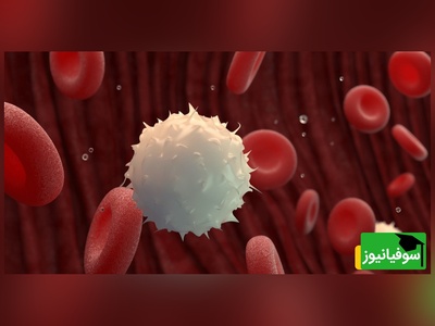سلول هایی وجود دارن که برای دفاع از بدنت میجنگن!/ تو تنها نیستی از زندگی لذت ببر!+ویدیو