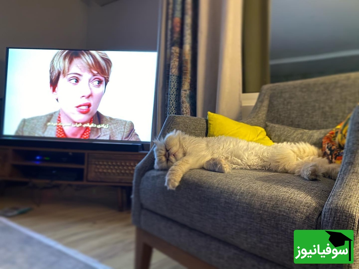 منزل علی اوجی