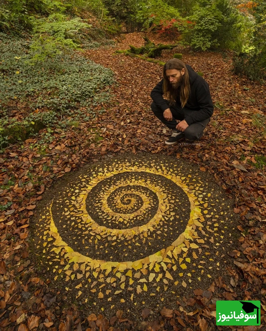 پراکندگی، جنگل‌های کُلبی، ولز