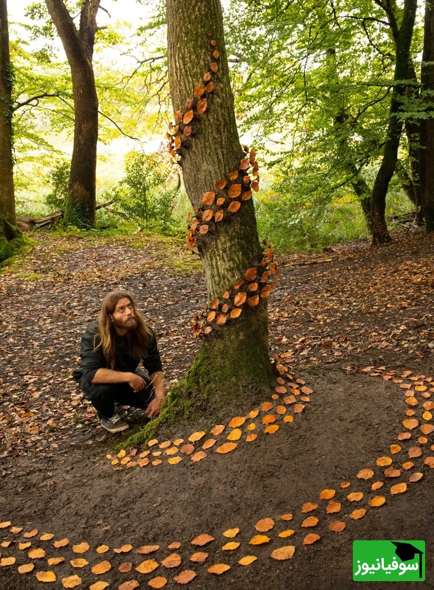 گرداب، جنگل‌های لیتل میلفورد، ولز