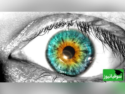 ویدیو/ آسیب وحشتناکی که در 30 ثانیه پلک‌نزدن بر چشم‌ها وارد می‌شود