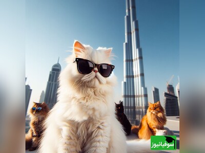 ویدیو/ رهاسازی یک گربه از بالای "برج خلیفۀ" دبی/ آیا واکنش خاص گربه هنگام افتادن از ارتفاع او را نجات می‌دهد؟