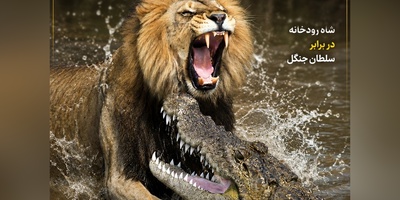 فیلم/نبر شیر و تمساح؛ درس عبرت سلطان به هیولای زره‌پوش