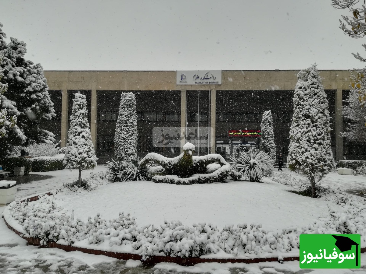 (ویدیو) وقتی برف دانشگاه فردوسی را در آغوش می‌گیرد/ دانشگاهی غرق در شعر،خاطره و سکوت زمستان🤩