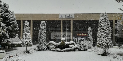 (ویدیو) وقتی برف دانشگاه فردوسی را در آغوش می‌گیرد/ دانشگاهی غرق در شعر،خاطره و سکوت زمستان🤩