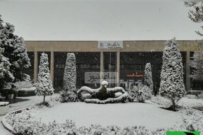 (ویدیو) وقتی برف دانشگاه فردوسی را در آغوش می‌گیرد/ دانشگاهی غرق در شعر،خاطره و سکوت زمستان🤩