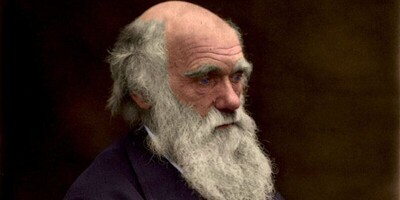 (ویدئو) نگاهی علمی به نظریه فرگشت داروین!