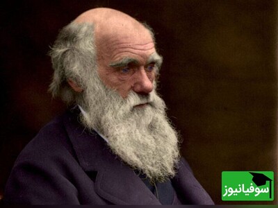 (ویدئو) نگاهی علمی به نظریه فرگشت داروین!