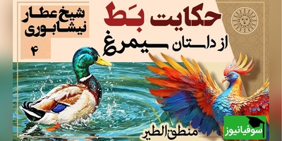 داستان‌های کوتاه و زیبایی که باید بشنوید/ منطق الطیر عطار، بخش 4؛ حکایت مجذوب کننده مُرغابی و مرد دیوانه