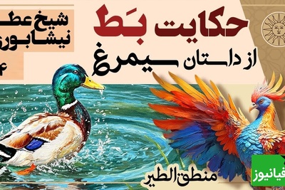 داستان‌های کوتاه و زیبایی که باید بشنوید/ منطق الطیر عطار، بخش 4؛ حکایت مجذوب کننده مُرغابی و مرد دیوانه