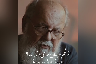 غم‌انگیزترین نوای عاشقانه هوشنگ ابتهاج / ارغوانم سنگ شد در انتظار… + ویدئو