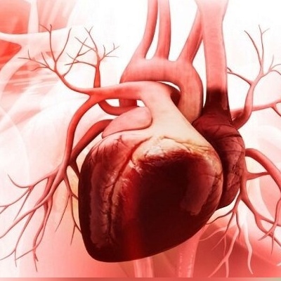 هوش مصنوعی قلب «ترمیمی» ساخت! فناوری جدید که بدون جراحی، آسیب‌های قلب را درمان می‌کند