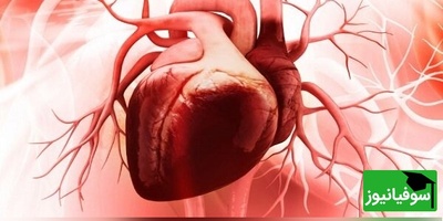 هوش مصنوعی قلب «ترمیمی» ساخت! فناوری جدید که بدون جراحی، آسیب‌های قلب را درمان می‌کند