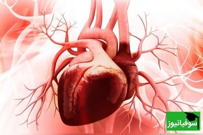 هوش مصنوعی قلب «ترمیمی» ساخت! فناوری جدید که بدون جراحی، آسیب‌های قلب را درمان می‌کند
