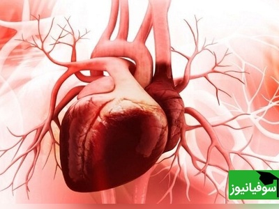 هوش مصنوعی قلب «ترمیمی» ساخت! فناوری جدید که بدون جراحی، آسیب‌های قلب را درمان می‌کند