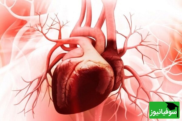 هوش مصنوعی قلب «ترمیمی» ساخت! فناوری جدید که بدون جراحی، آسیب‌های قلب را درمان می‌کند