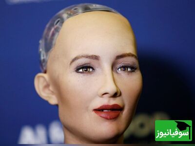 (ویدئو) جدال هوش مصنوعی‌ها / سوفیا در تلاش برای مکالمه با ربات دیگر!