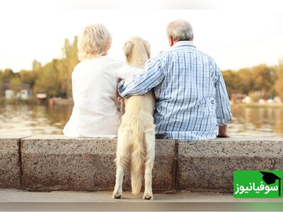 ویدیو/ قابل توجه صاحبان پت خانگی/ 1 سال زندان برای نگهداری از حیوانات خانگی در ساختمان