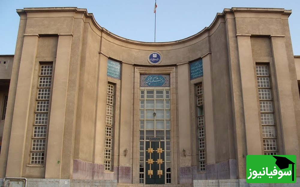 دانشگاه