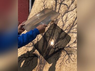 (ویدئو) خلاقیت یک هنرمند نابغه در کشیدن نقاشی غیرقابل باور با کمک طبیعت