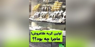 فیلم جذابی از طلافروشی گربه ای که داخل ویترین لم دادنش از همه چی جذابتره🤣+ ویدئو