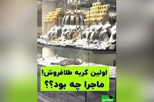 فیلم جذابی از طلافروشی گربه ای که داخل ویترین لم دادنش از همه چی جذابتره🤣+ ویدئو