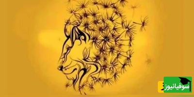 اولین چیزی که می‌بینید، راز پنهان شخصیتت رو لو می‌ده! 😲🧠 (تست بصری 99٪ دقیق!)