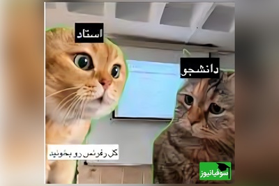 (ویدئو) کابوس همیشگی ارائه‌های گروهی دانشگاه؛ لحظه‌ای که همه تجربه‌اش کردیم!🤣