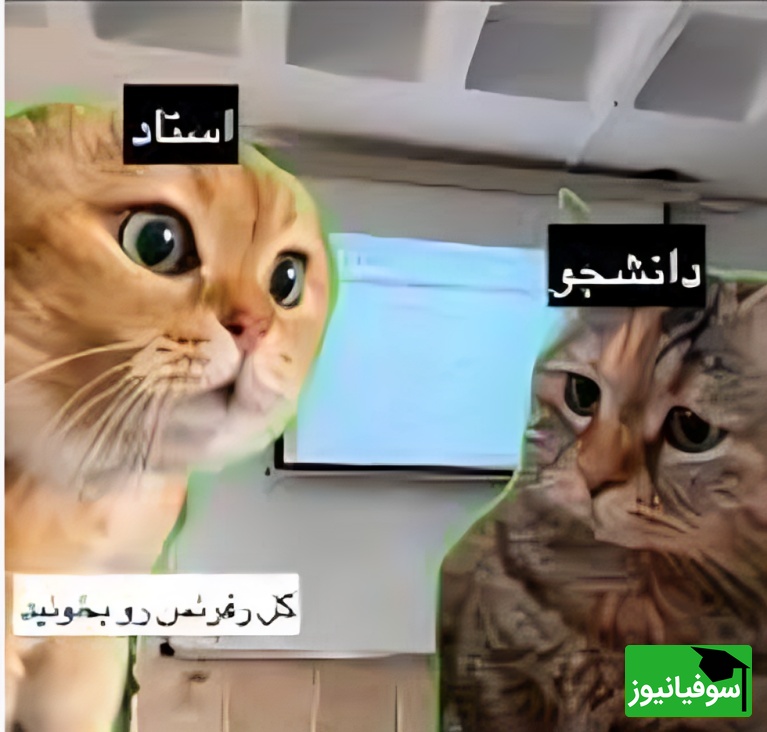 (ویدئو) کابوس همیشگی ارائه‌های گروهی دانشگاه؛ لحظه‌ای که همه تجربه‌اش کردیم!🤣