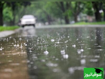 (ویدئو) علت بوی خوش خاک پس از باران چیست؟