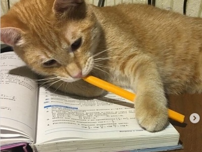 (ویدئو) طنز دانشجویی روز؛ وقتی با هوش مصنوعی میری سر جلسه امتحان! / شوخی جالب با «بازی مرکب» و امتحانات پایان ترم