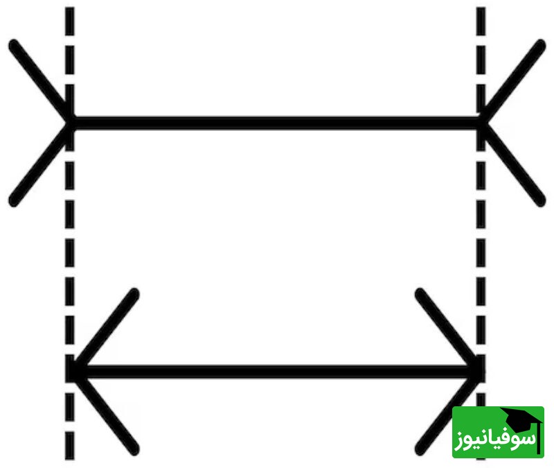 پاسخ تست هوش